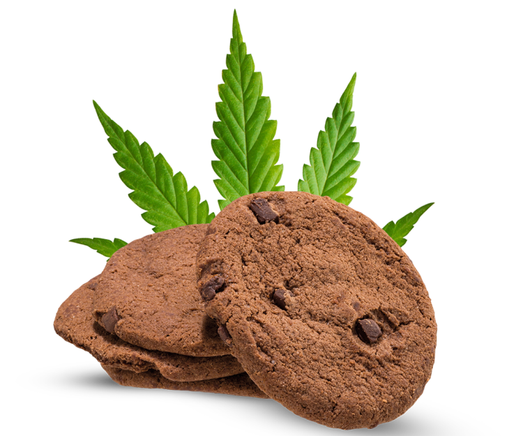 Cannabis Cookies Cantopia