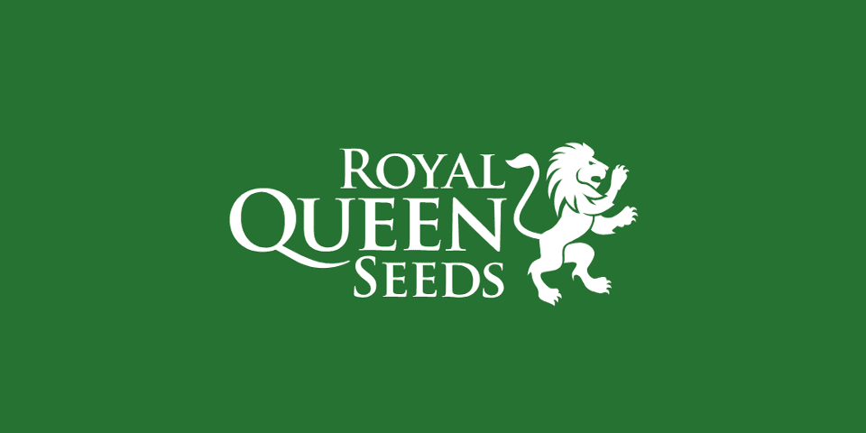Royal Queen Seeds logo Cantopia