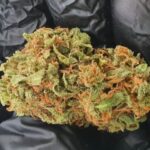 CBD flowers Watermelon Cyprus