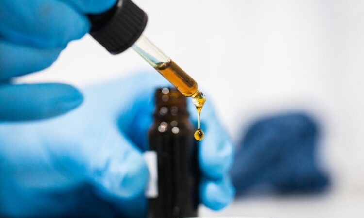 Full Spectrum CBD oil bulk Europe