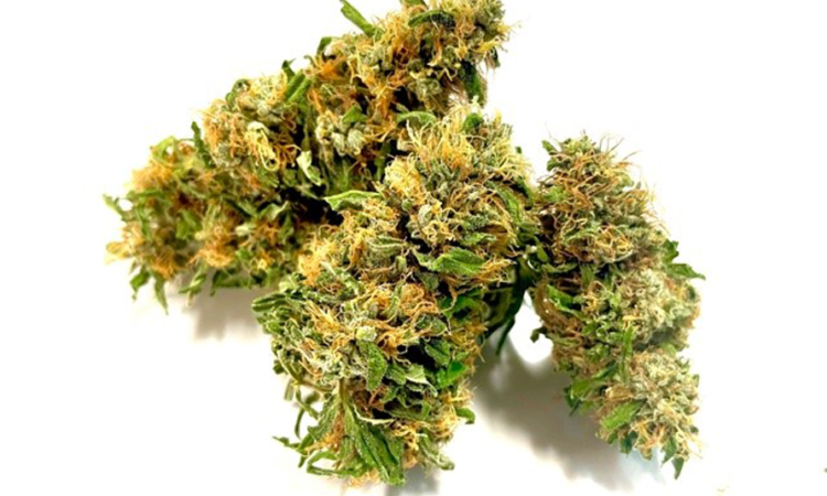 CBG Plus Flower CBG 5-6% Spain