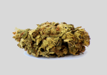 CBD flower Tiborszallasi bulk