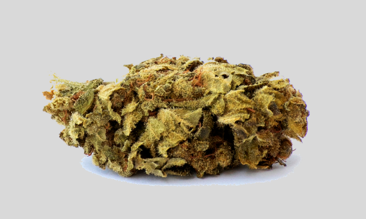 CBD flower Tiborszallasi bulk