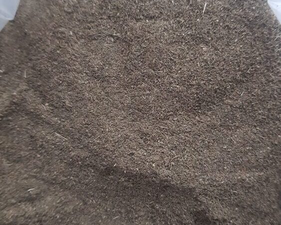 Futura 75 Raw Hemp Biomass