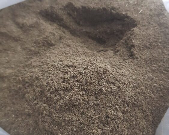 Futura 75 Raw Hemp Biomass