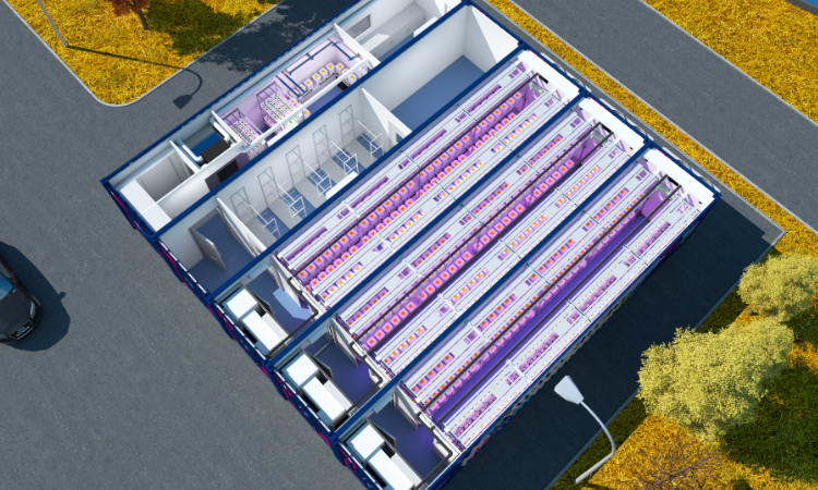 Capital Grow Box 1