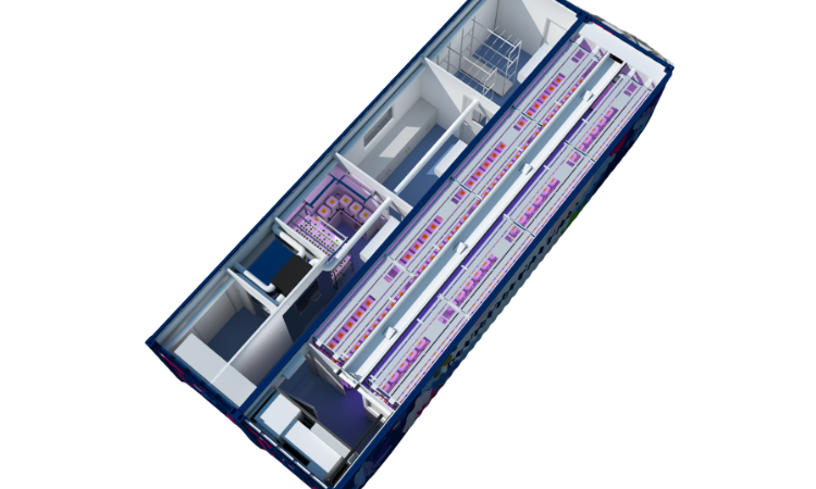 Capital Grow Box