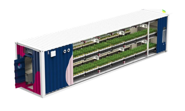 Capital Grow Box