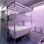 Capital Grow Box 5