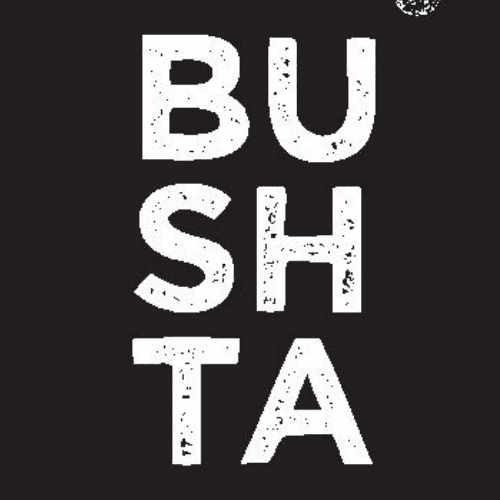 Bushta VAJB Trading logo