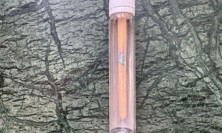 Piatella donut sticks