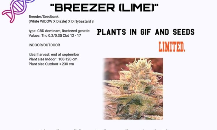 Breezer Lime CBD seeds and cuts