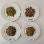 Various CBD and CBG kief sorts wholesale