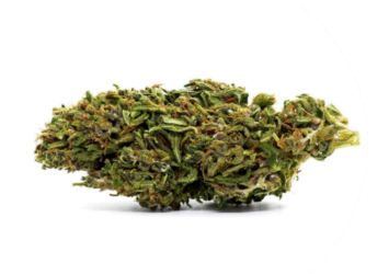 Amnesia CBD Flowers