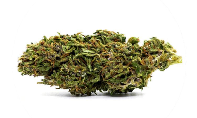 Amnesia CBD Flowers