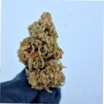 Avocado CBD Flowers 2