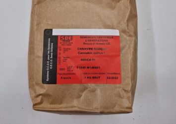 Dioca 88 certified seeds Cantopia
