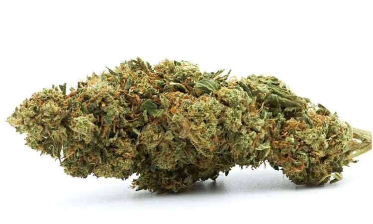 Lemon bi CBD Flowers 1