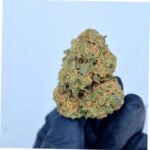 Lemon bi CBD Flowers 2