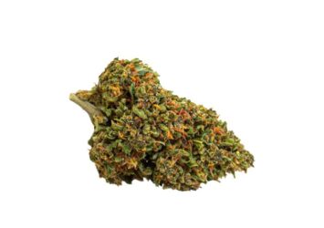Pink Phanter CBD Flowers 1
