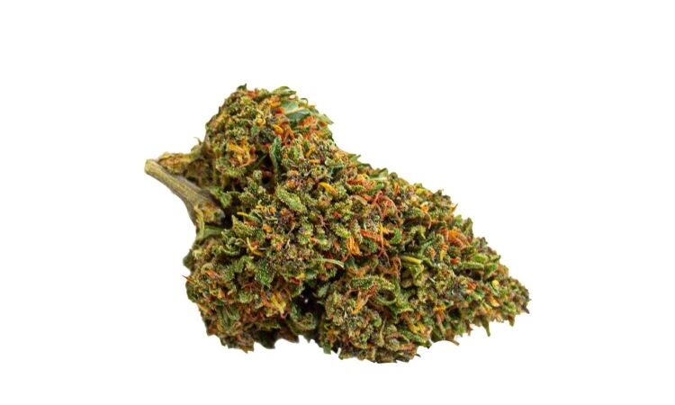 Pink Phanter CBD Flowers 1