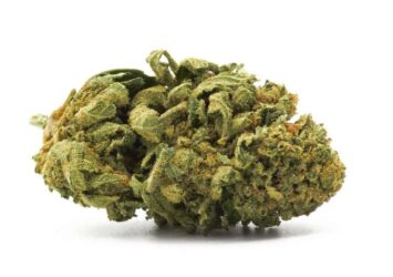 Tangi CBD Flowers 1