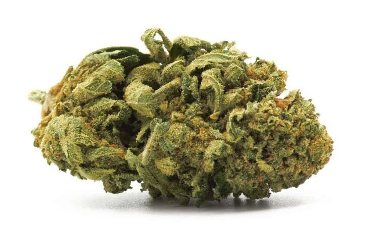 Tangi CBD Flowers 1
