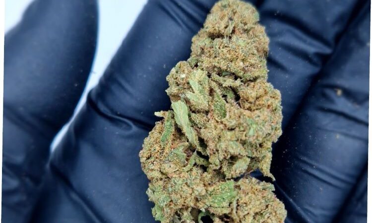 Tangi CBD Flowers 2