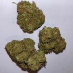 Fruit Kandy CBD flowers