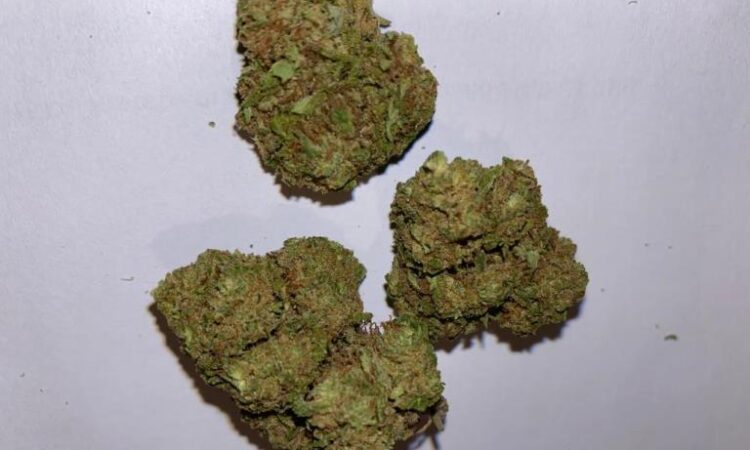 Fruit Kandy CBD flowers