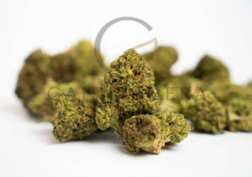 MEDICAL GRADE BLUEBERRY MUFFIN thca