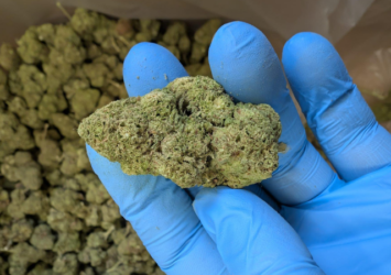frozen forbidden fruit cbg