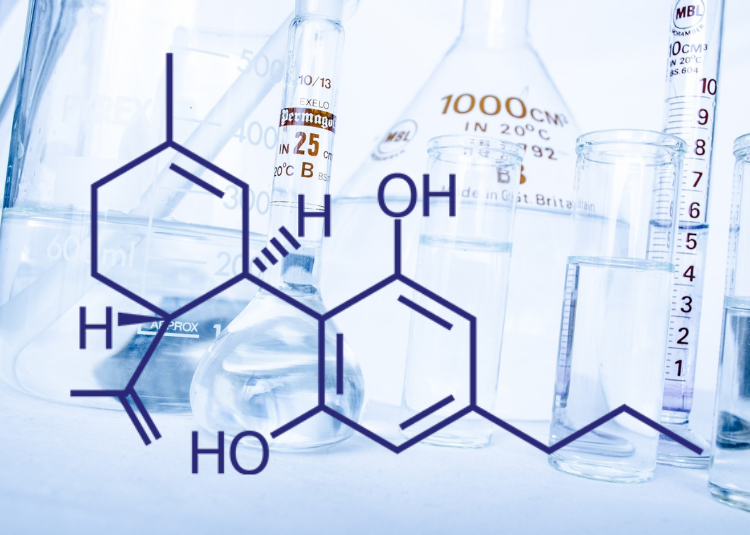 Is CBDV another promising cannabis compound?