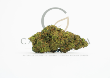 hash burger flower medical grade