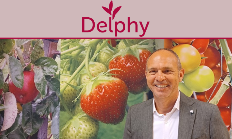 Delphy: Empowering Growers to Succeed in the Competitive Cannabis Industry