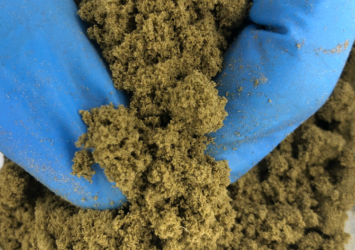 CBD kief