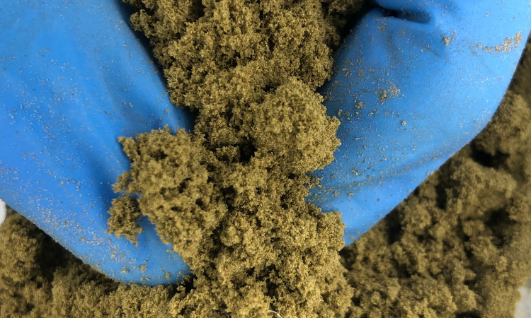 CBD kief