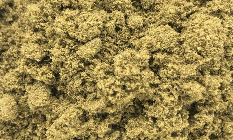 CBD kief