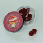 Mushroom extract gummies - 5mg muscimol