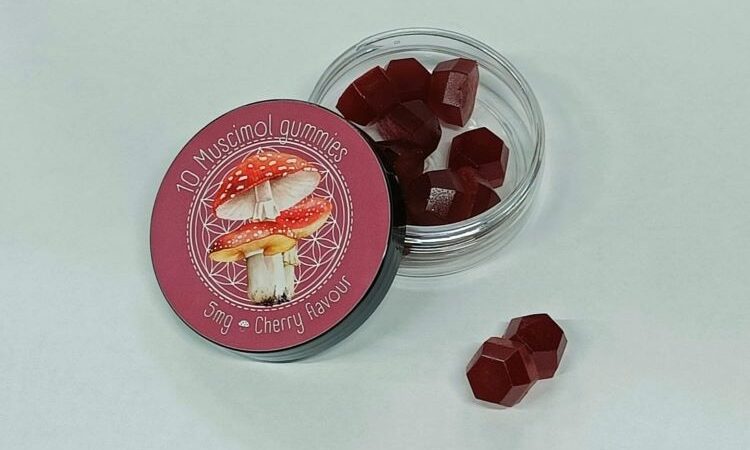 Mushroom extract gummies - 5mg muscimol