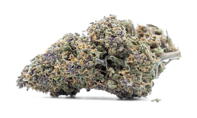 Purple Haze CBD flowers