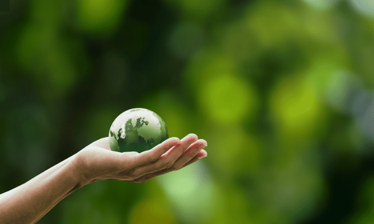 How Hemp is Transforming Industries