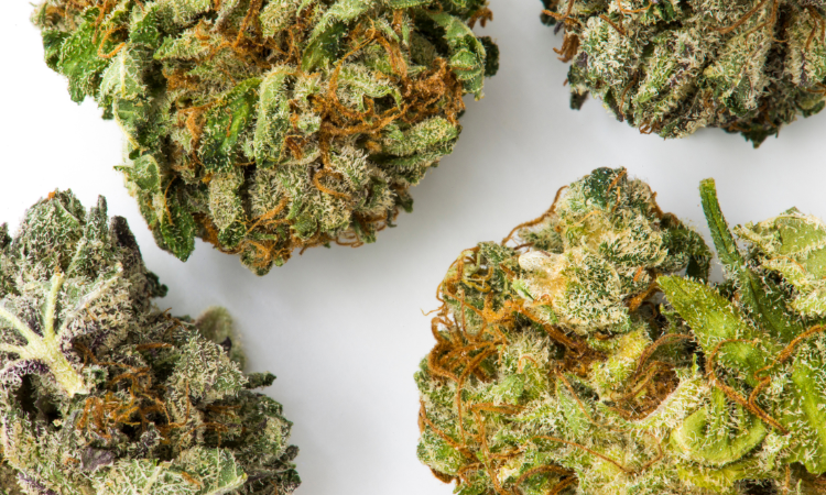 Top 5 cannabis strains to try in 2025