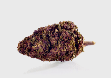 Purple Kinky Kush Superior