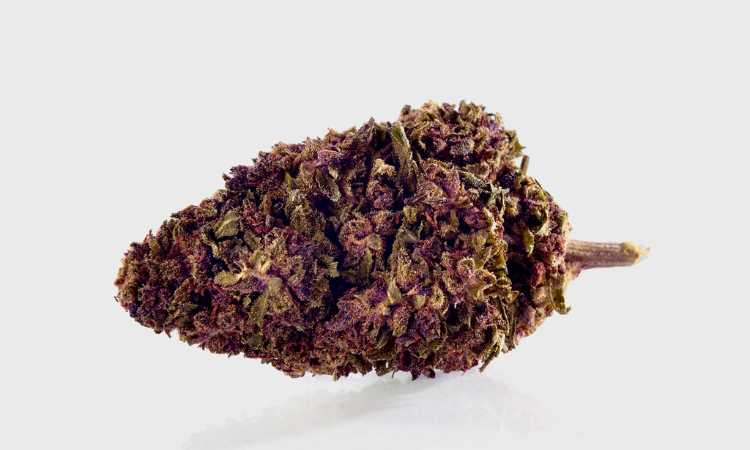 Purple Kinky Kush Superior