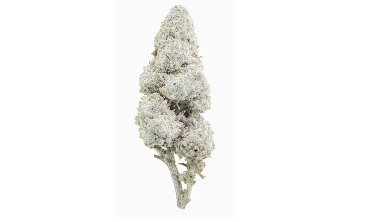 Sapphire 23 THCA