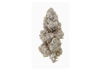 Strawberry 18 THCA