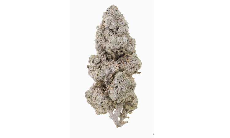 Strawberry 18 THCA