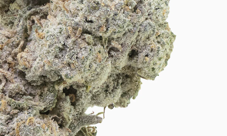 Super Lemon 22 thca