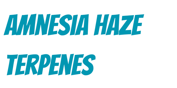 Amnesia Haze Terpenes logo